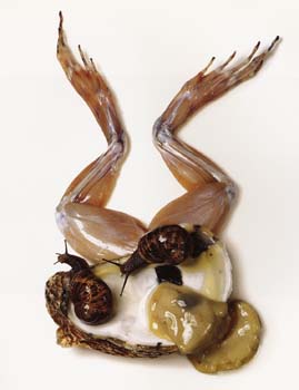 snails-oysters+froglegs