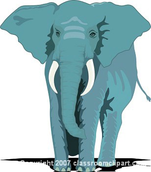The elephant in the room - standardized
                          test and science education