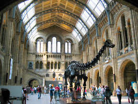 Museum of Natural History London