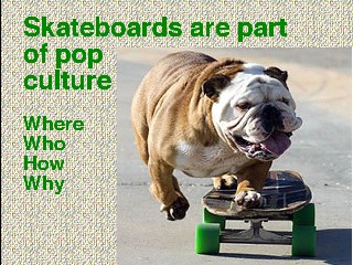 skateboards as pop culture icon